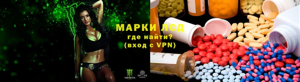 индика Балахна