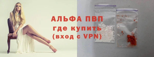 индика Балахна