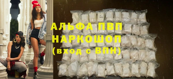 индика Балахна