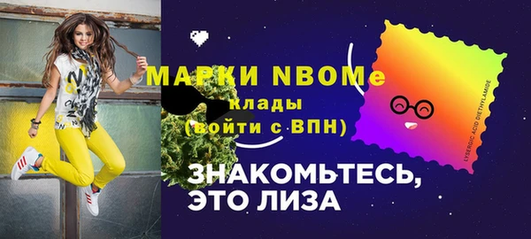 индика Балахна